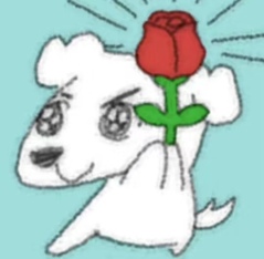 评论图片