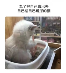 评论图片