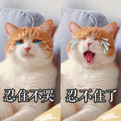 评论图片